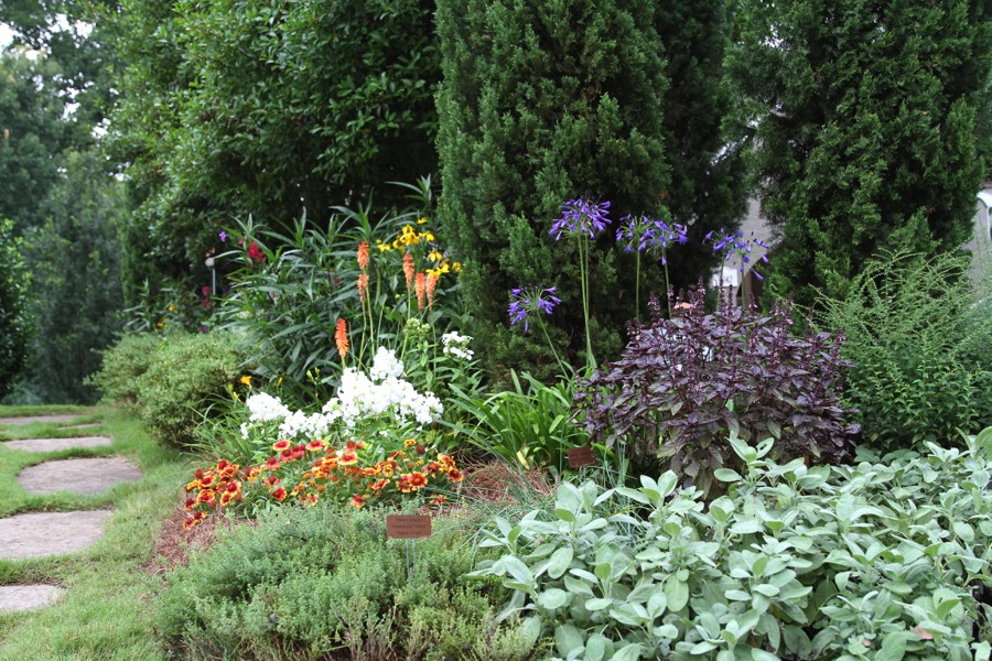 Front yard herb garden 